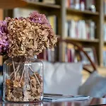 Rural Costa Del Trigo Hotel 4*